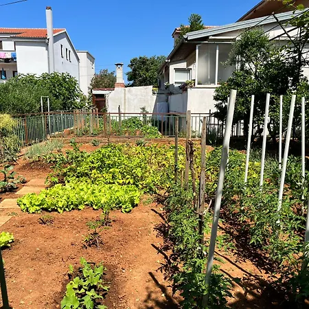 Appartement Joso Zadar