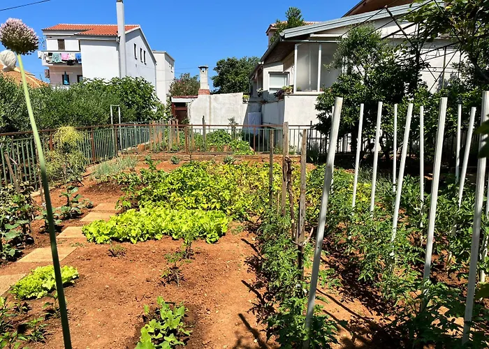 Lägenhet Joso Zadar